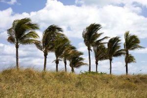 tropical storm north carolina